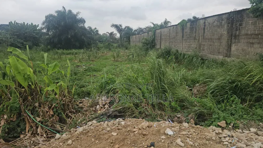 A Plot Of Land With Certificate Of Occupancy in Ikeja