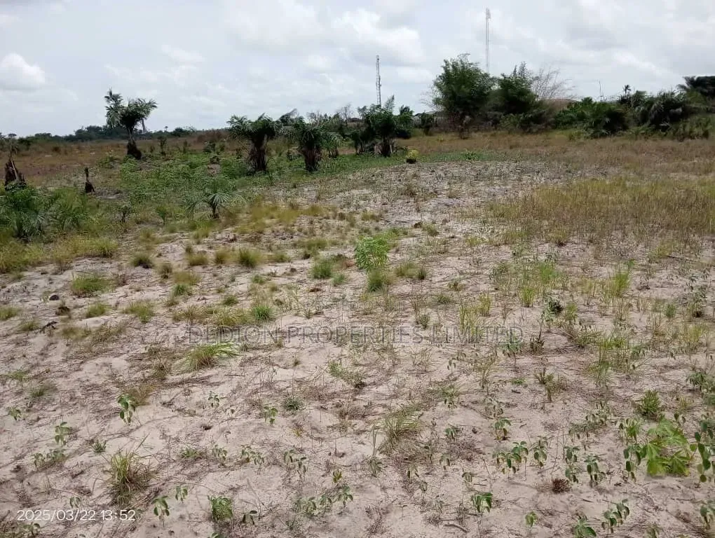 Ode Omi Ibeju Lekki Land With Registered Survey Deed of Assignment in Ibeju-Agbe