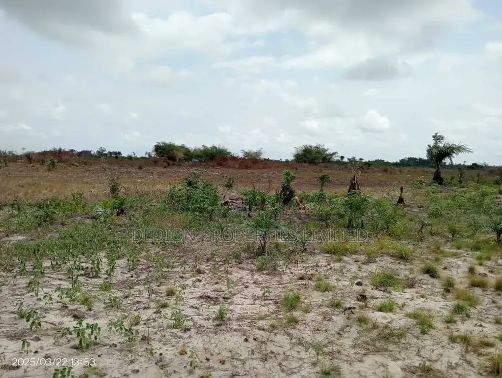 Ode Omi Ibeju Lekki Land With Registered Survey Deed of Assignment in Ibeju-Agbe