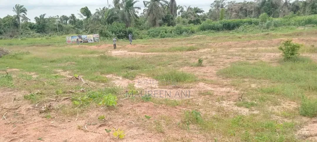 Beach Front Land in Awoyaya