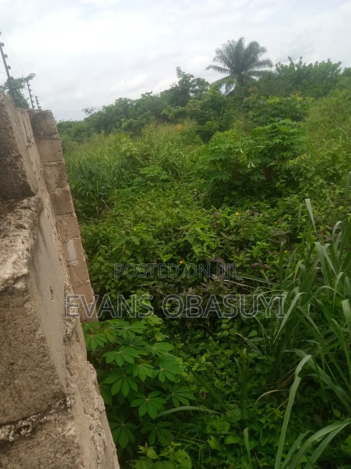 Land for Residential or Commercial Purposes Available in Benin City