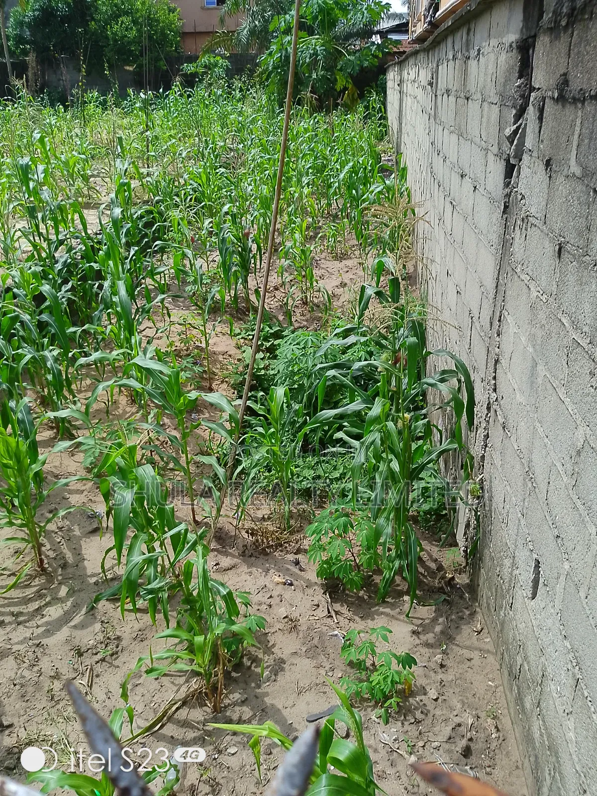 A Land for Sale in Ajangbadi