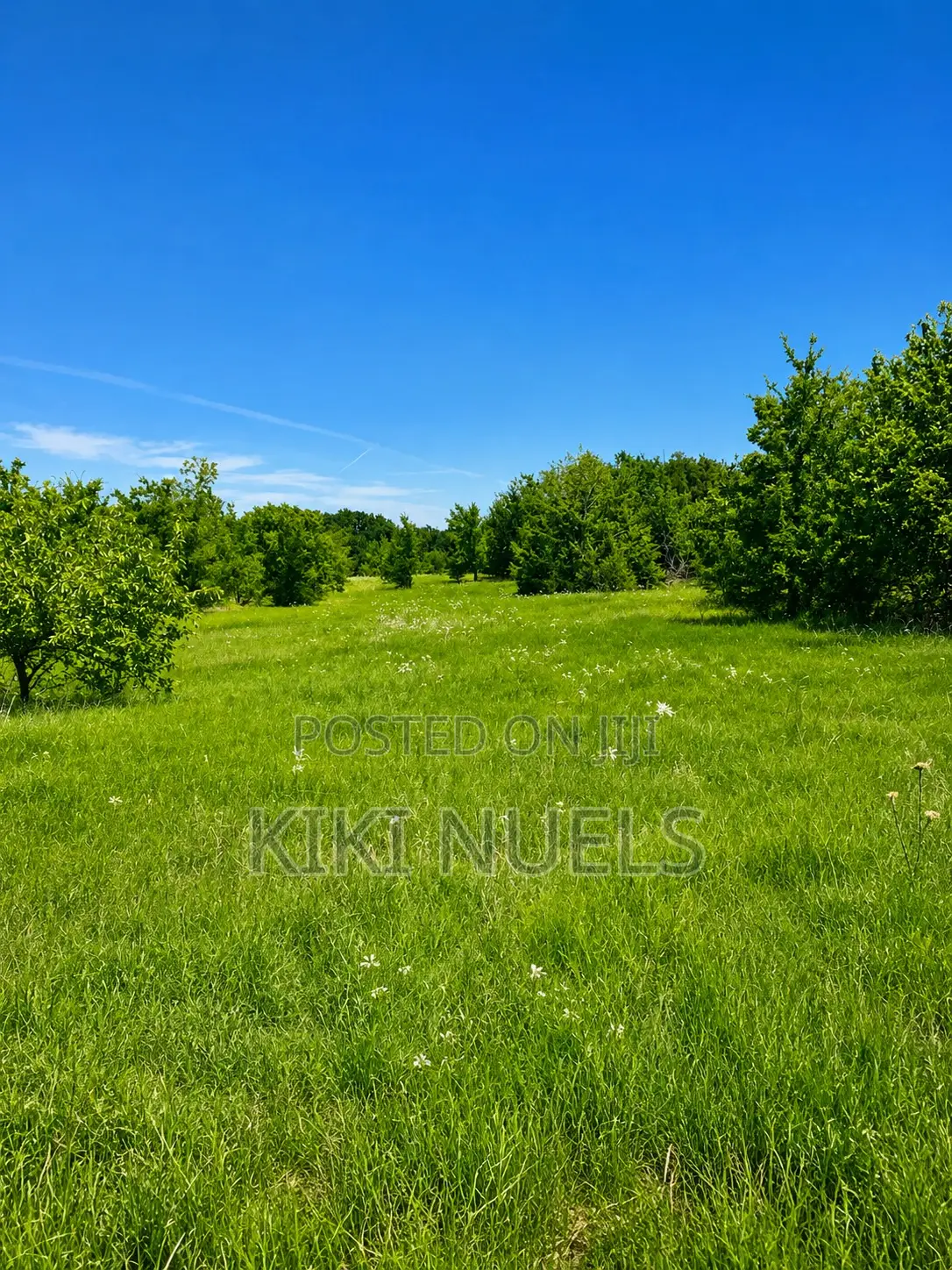 Affordable Land for Sale in Burun , Fcda C of O Paid Fully in Burum