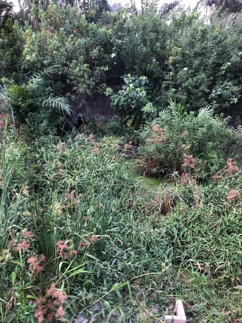 Half Plot Of Land in Ado / Ajah