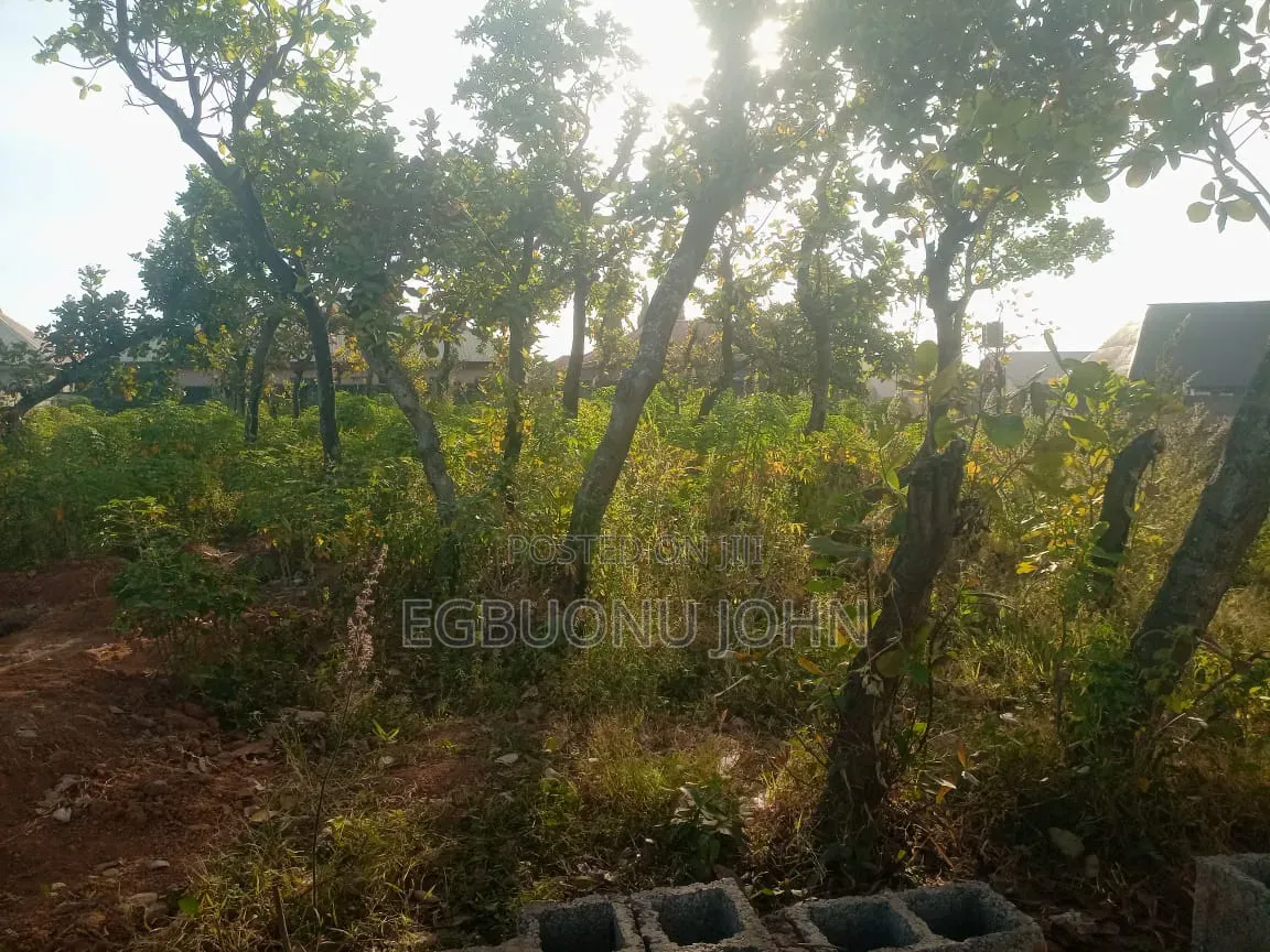 Land for Sell at Kagini Fcda Layout Opposite Kuwba Nysc in Kubwa