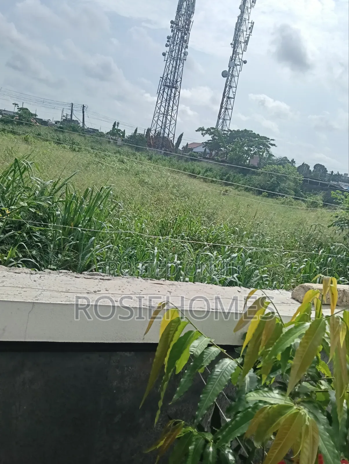 Genuine Land for Sale in Sangotedo