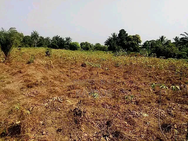 1130asqm Prime Parcel Of Land At Orange Island 4 in Orange Island