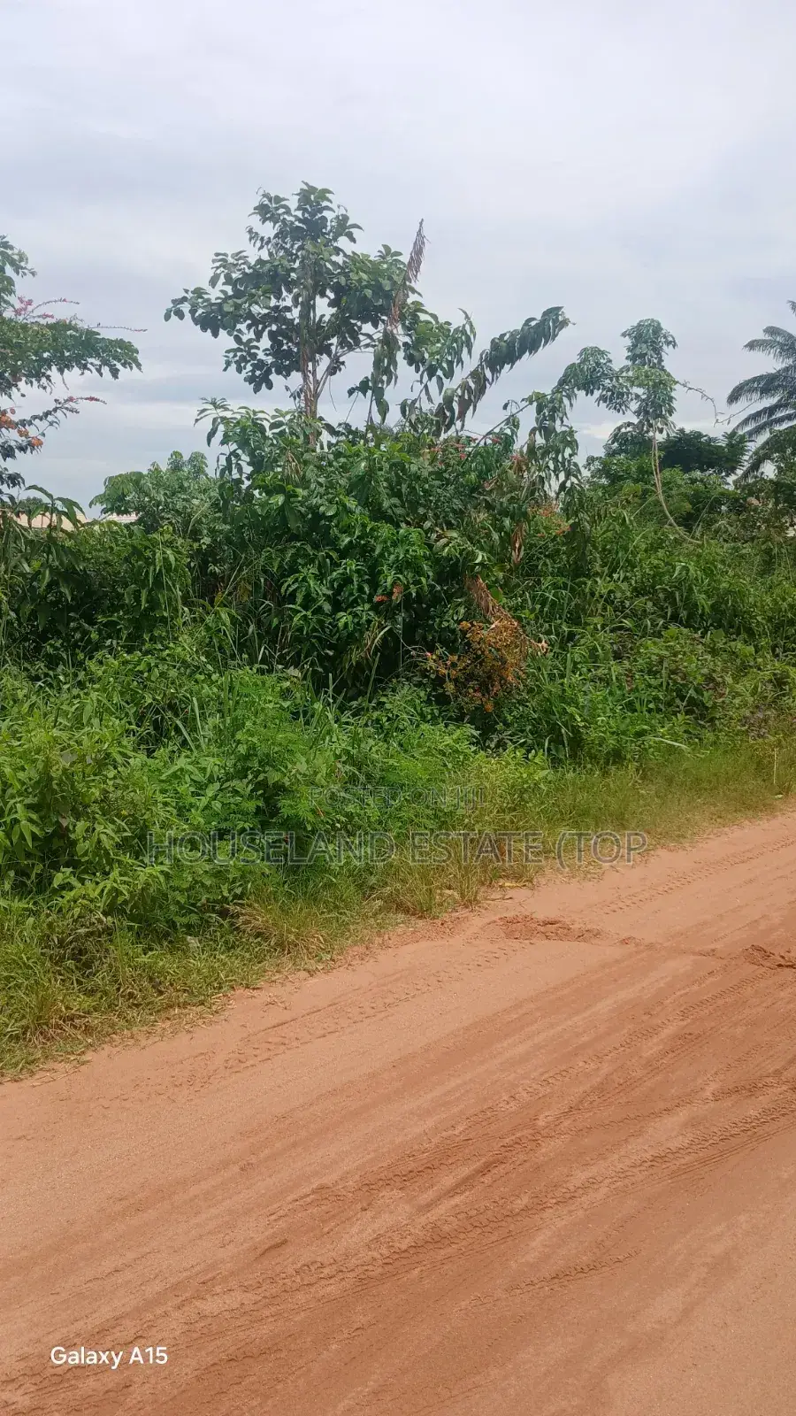 100by100 at Sapele Road Peanut in Benin City