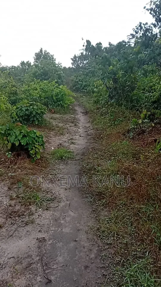 4 Plots Fertile Land for Sale. in Ukwa