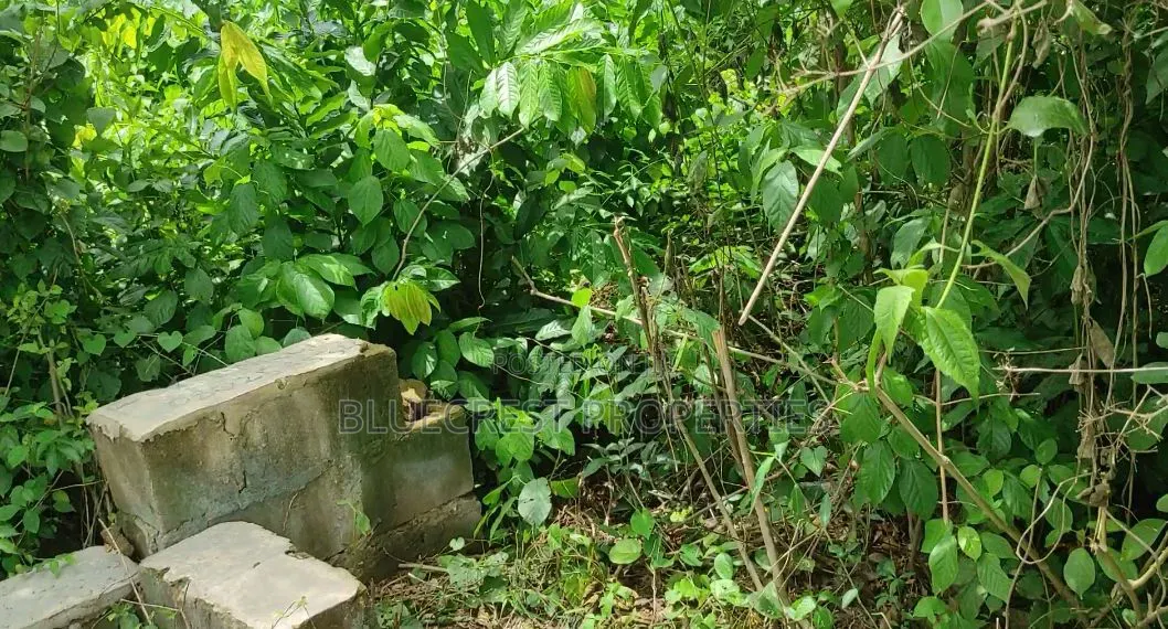 8 Plot of Land for Sale at Adebayo Aliri Olorunda Way Akobo Ibadan in Akobo