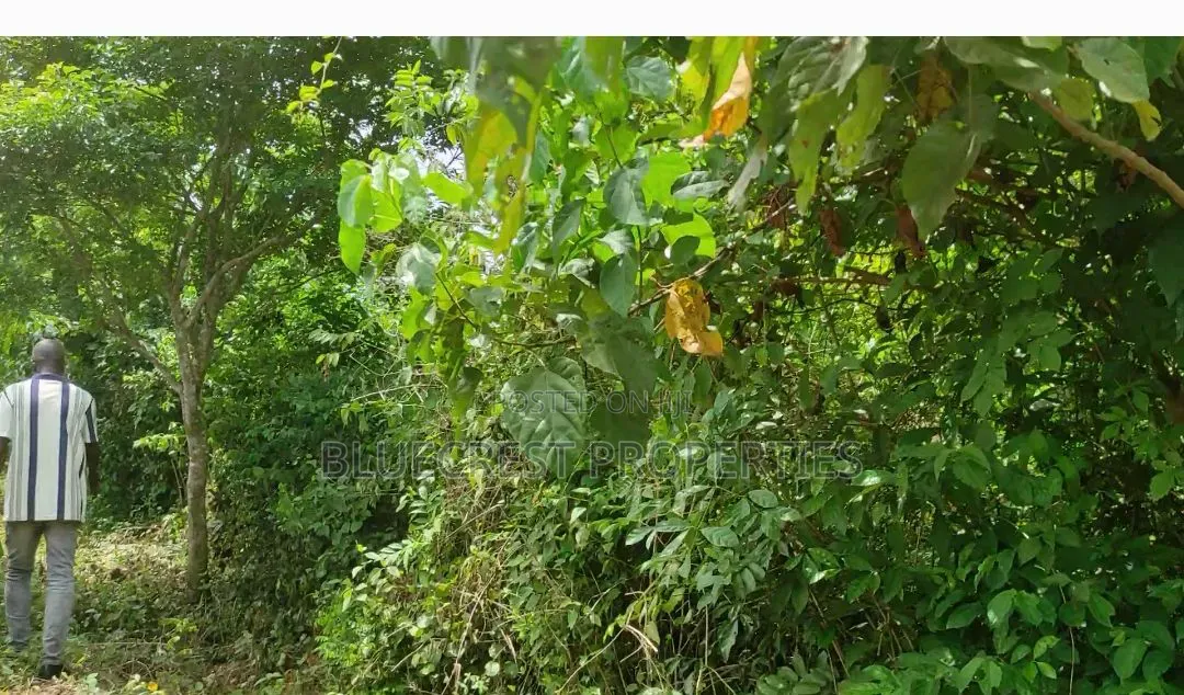 8 Plot of Land for Sale at Adebayo Aliri Olorunda Way Akobo Ibadan in Akobo