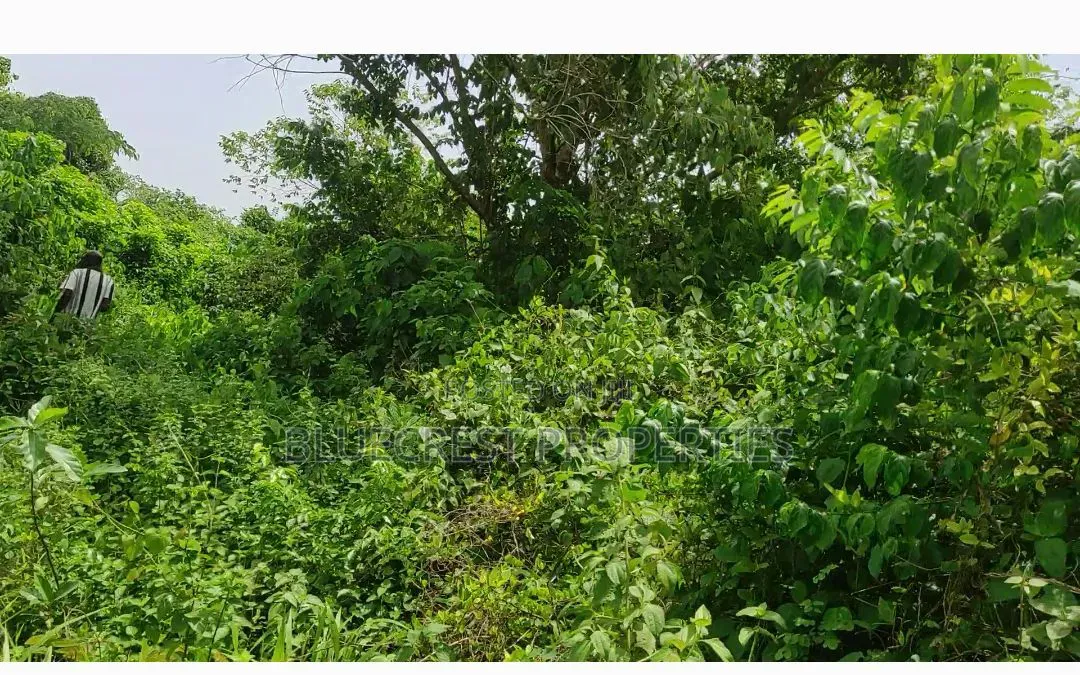8 Plot of Land for Sale at Adebayo Aliri Olorunda Way Akobo Ibadan in Akobo