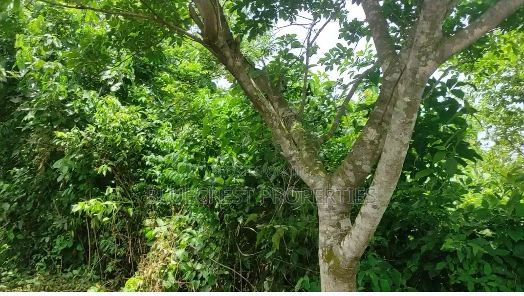 8 Plot of Land for Sale at Adebayo Aliri Olorunda Way Akobo Ibadan in Akobo