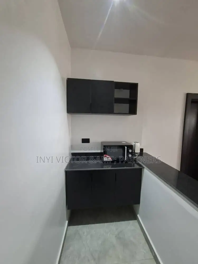 Built Hotel Property for Sale. Newly Finished and Fully Furnished in Mabushi