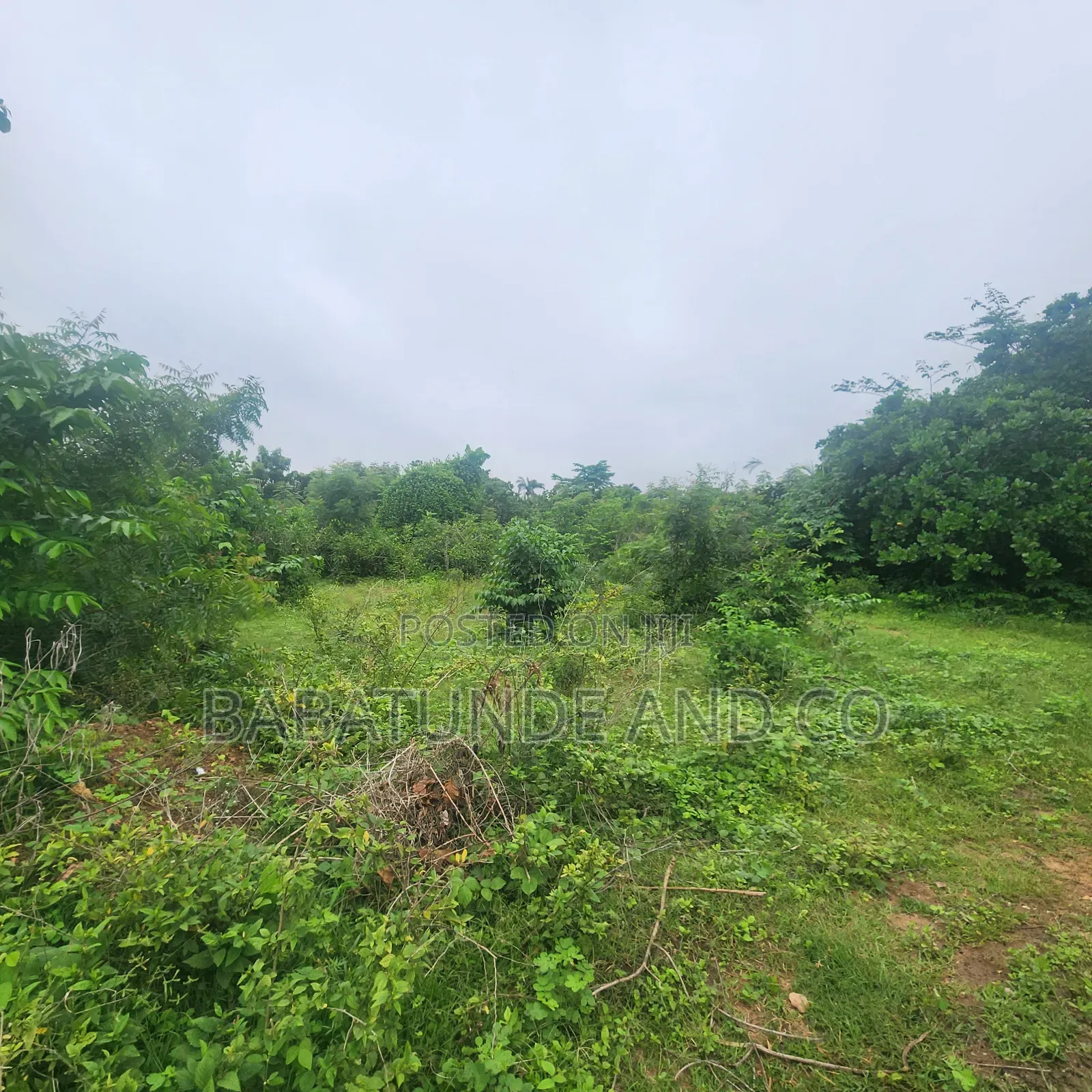 Plot of Land for Sale at Omi Adio Apata Ibadan in Omi Adio