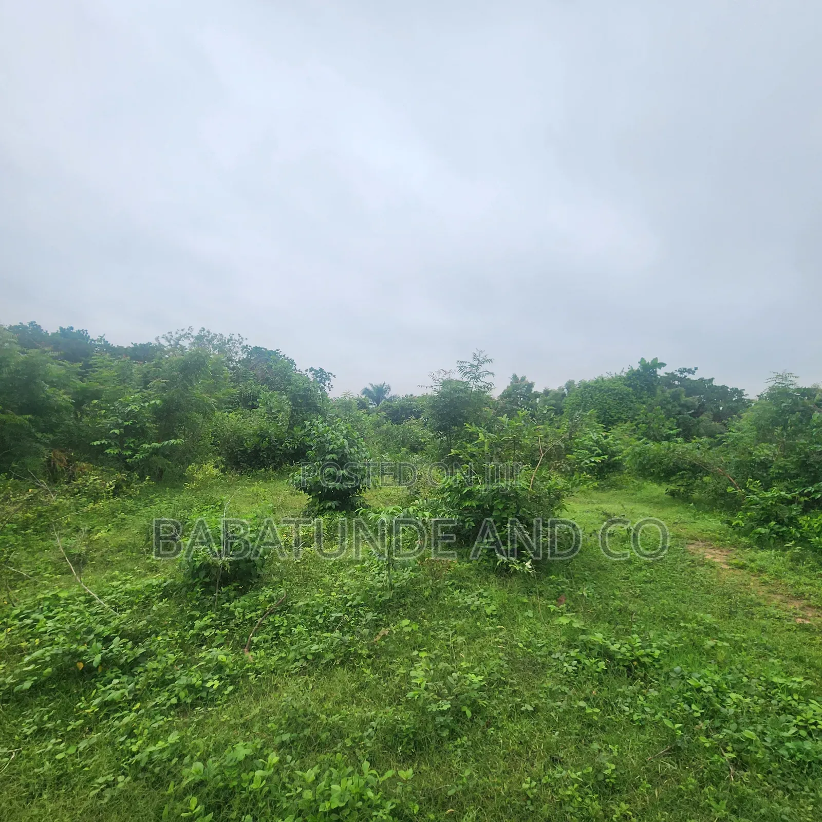 Plot of Land for Sale at Omi Adio Apata Ibadan in Omi Adio