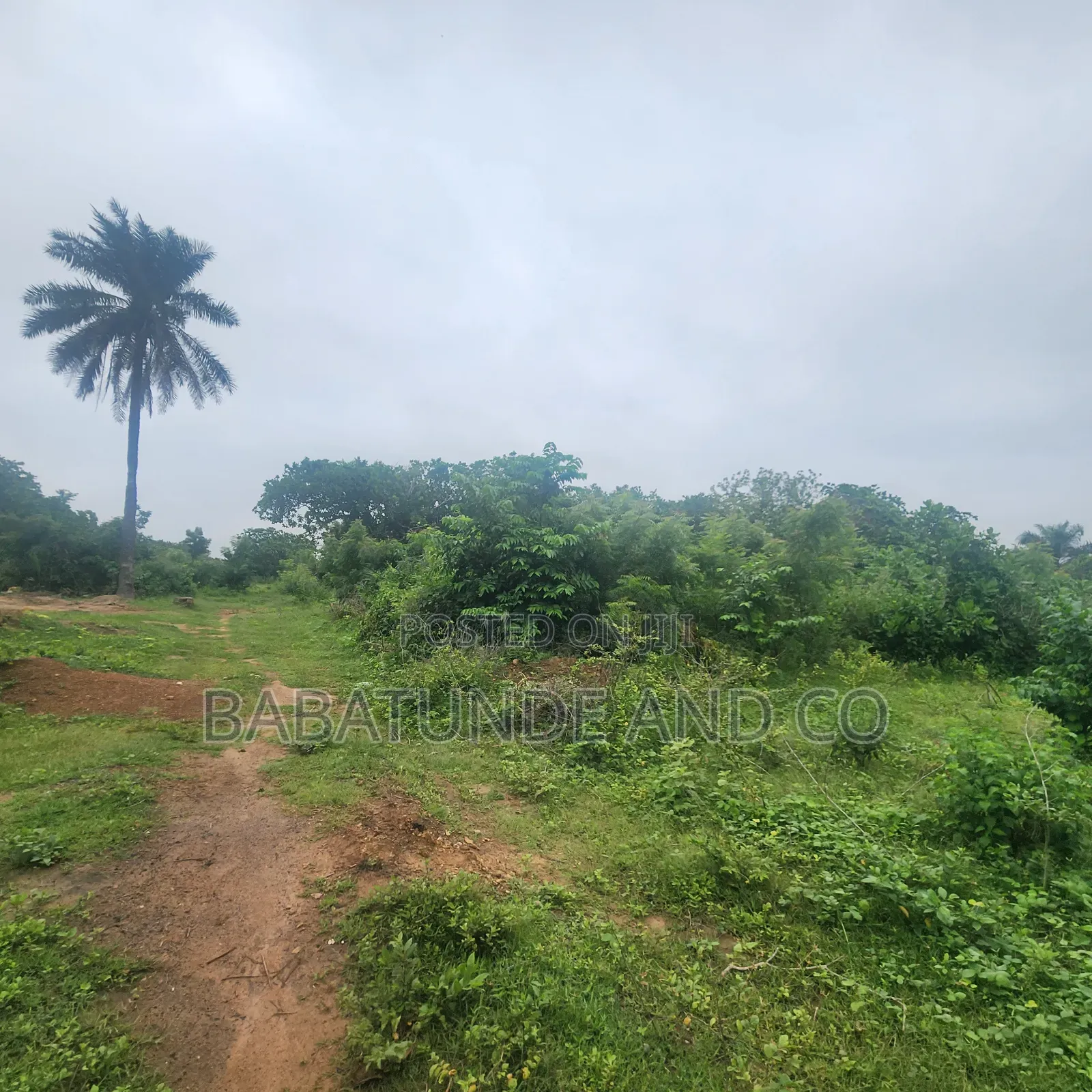 Plot of Land for Sale at Omi Adio Apata Ibadan in Omi Adio