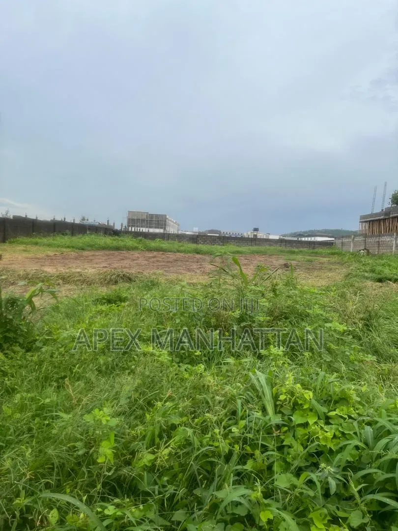 Flat Residential Land for Sale in Jahi