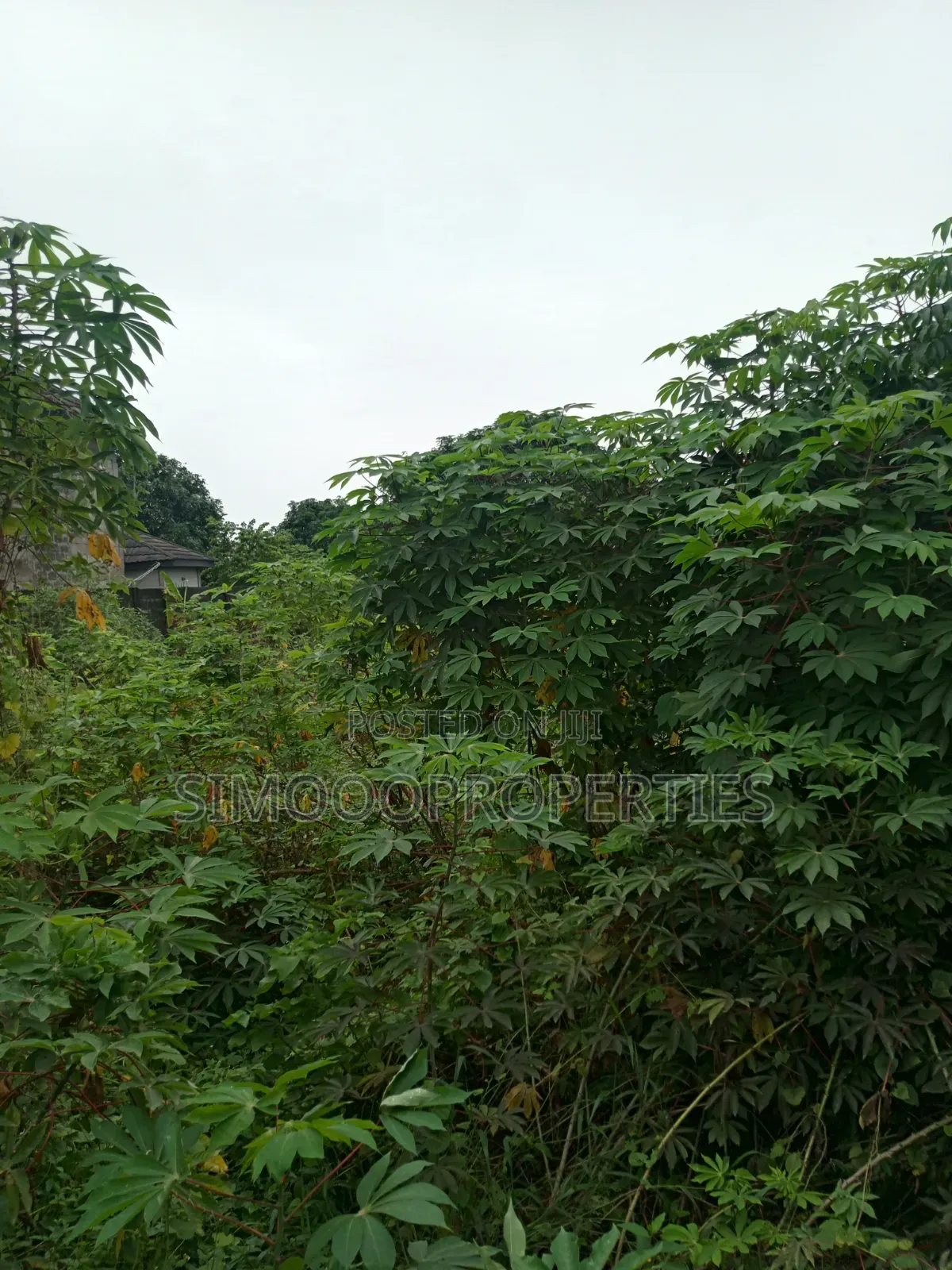 500sqm Of Land For Sale Inside A Mini Estate At Elemoro in Bogije