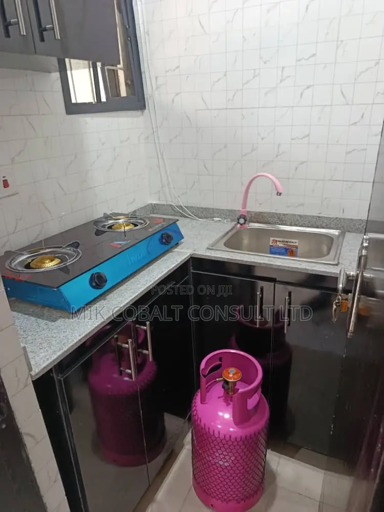 Furnished Studio Apartment in Naf Valley, Asokoro for rent in Asokoro