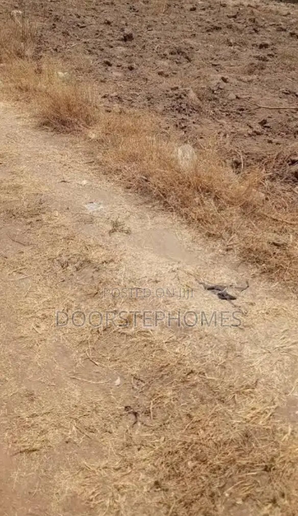 1100sqm Residential Land for Sale in Dape in Dape