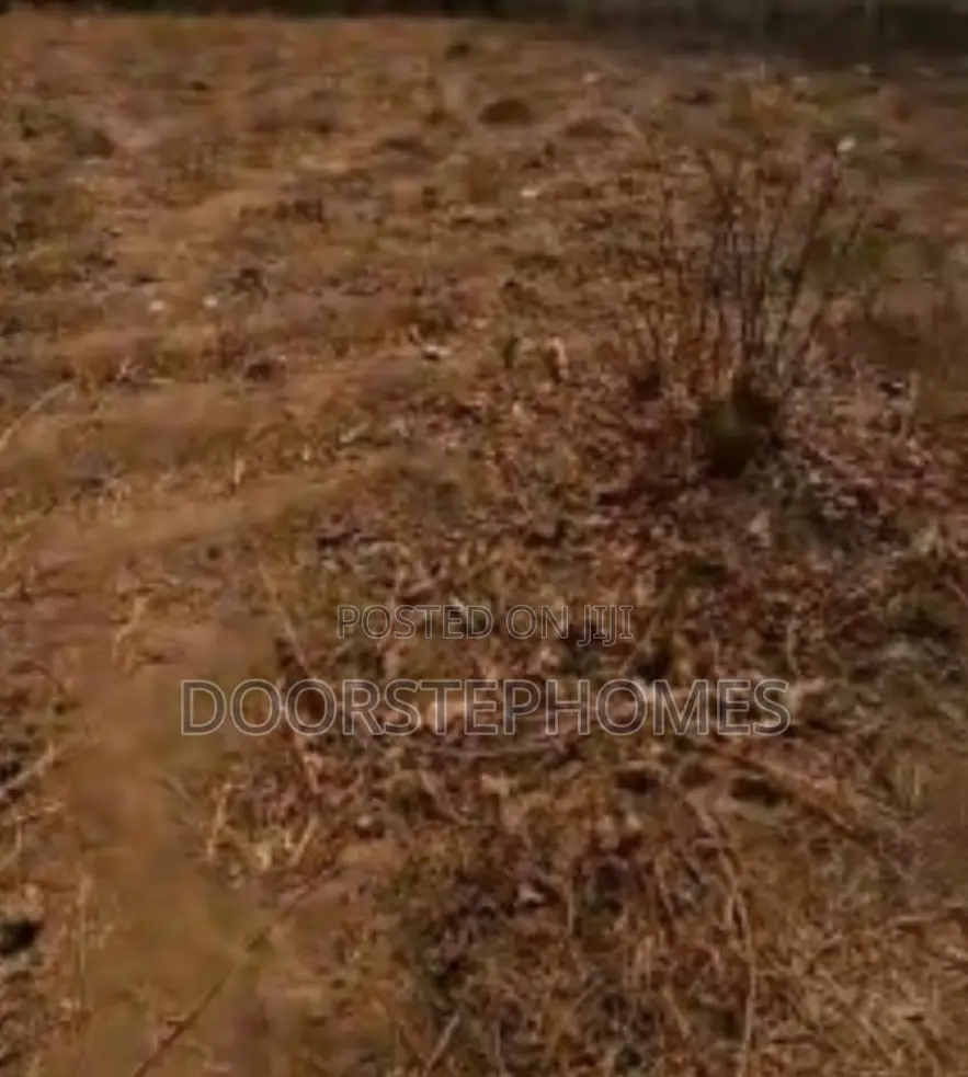 1100sqm Residential Land for Sale in Dape in Dape