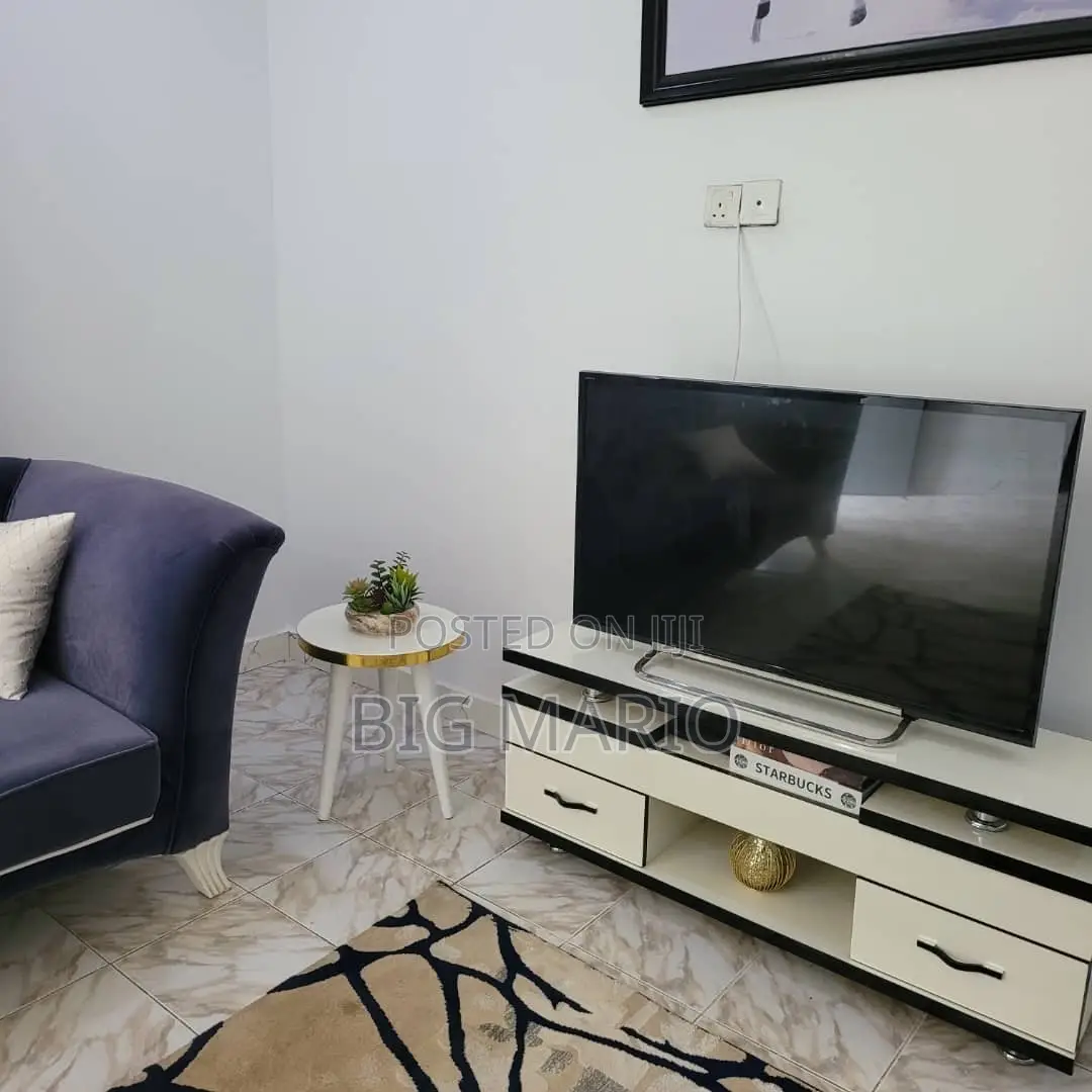 Furnished 1bdrm Block of Flats in Asokoro for rent in Asokoro