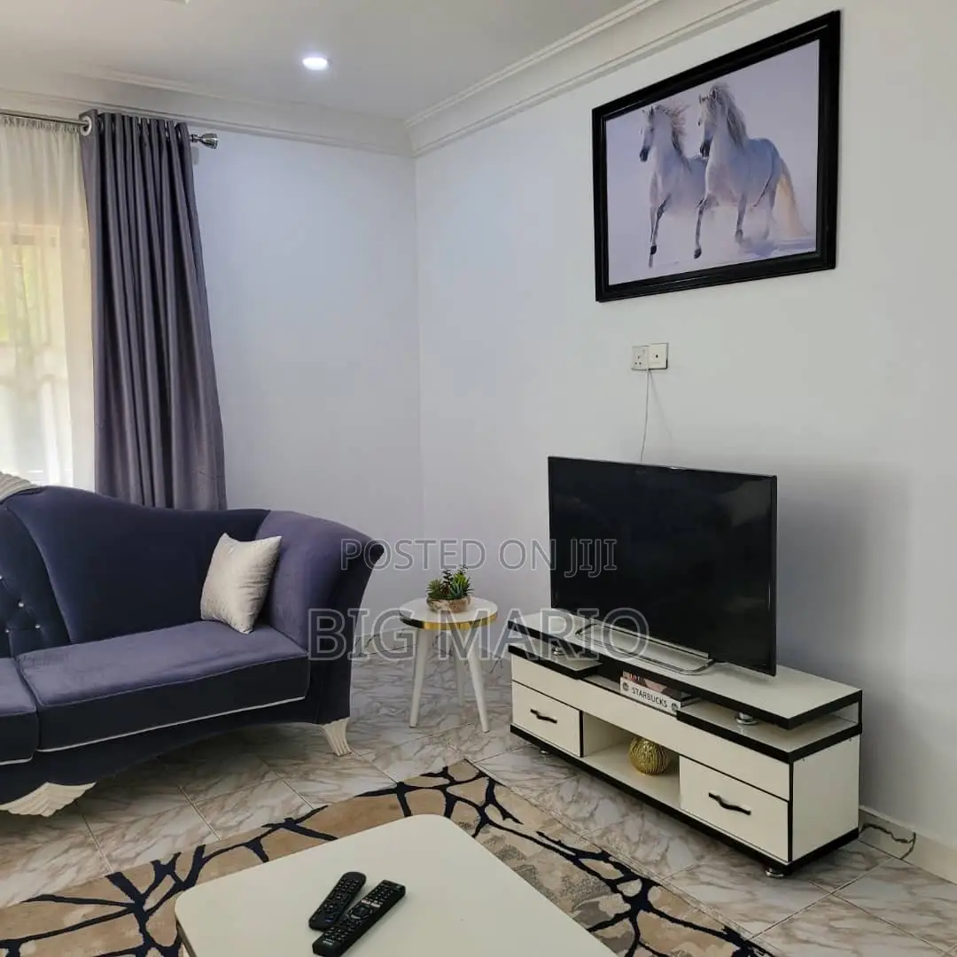 Furnished 1bdrm Block of Flats in Asokoro for rent in Asokoro
