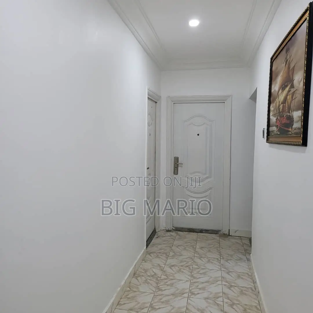 Furnished 1bdrm Block of Flats in Asokoro for rent in Asokoro