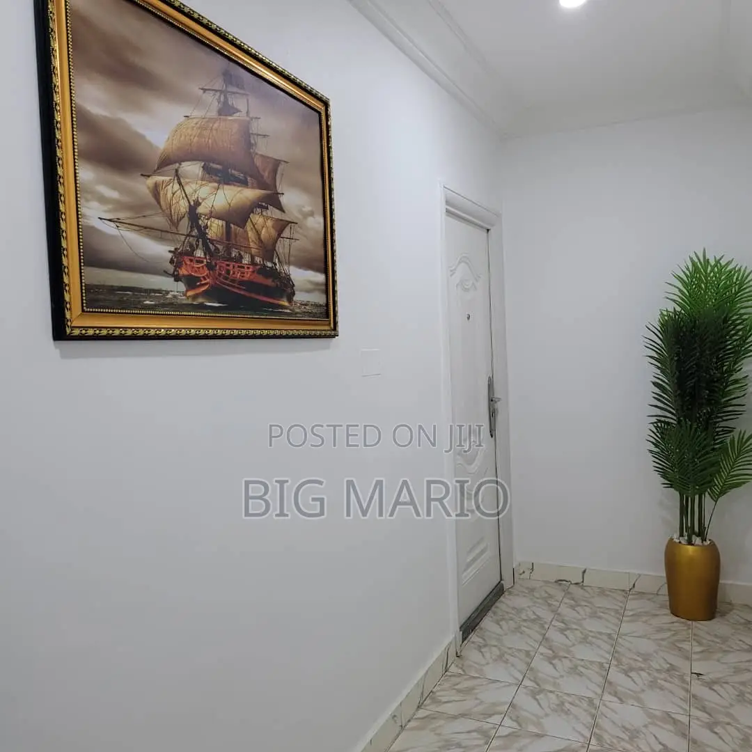 Furnished 1bdrm Block of Flats in Asokoro for rent in Asokoro