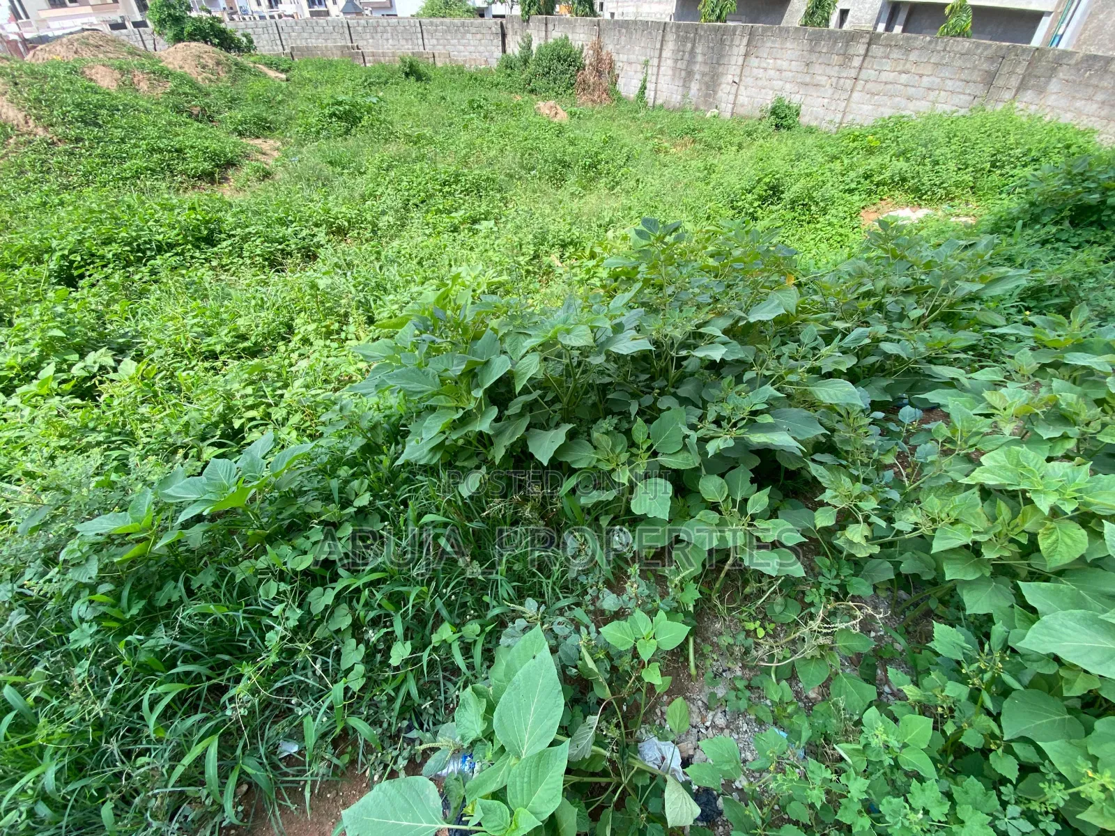 Corner-Piece Residential Land for Sale in Jahi