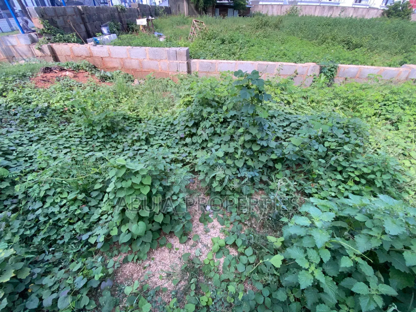 1500sqm Residential Land for Sale in Jahi
