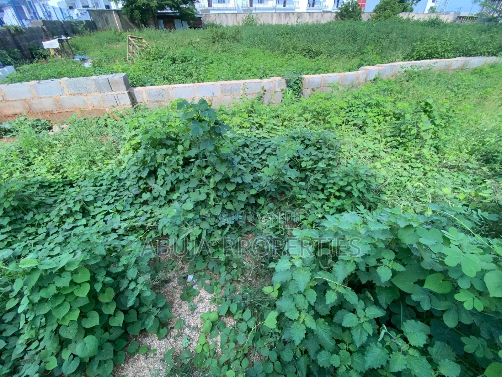1500sqm Residential Land for Sale in Jahi