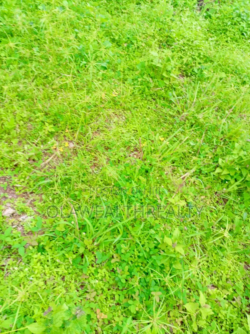 10 Hectares Industrial Land at Idu in Idu Industrial
