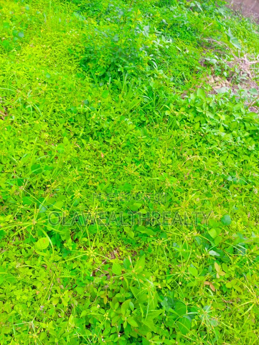 10 Hectares Industrial Land at Idu in Idu Industrial