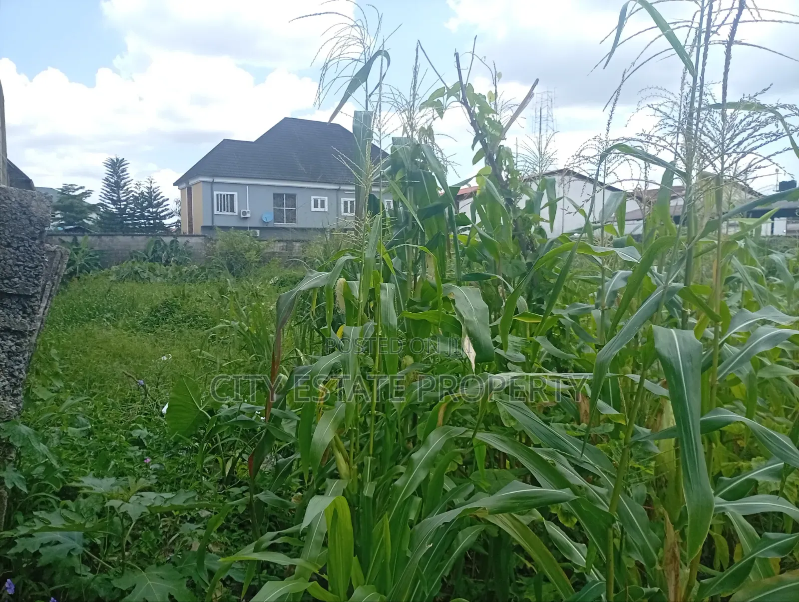 Two and Half Plots of Land for Sale at Gra Phase 2 Ph in GRA Phase 2 / Port-Harcourt
