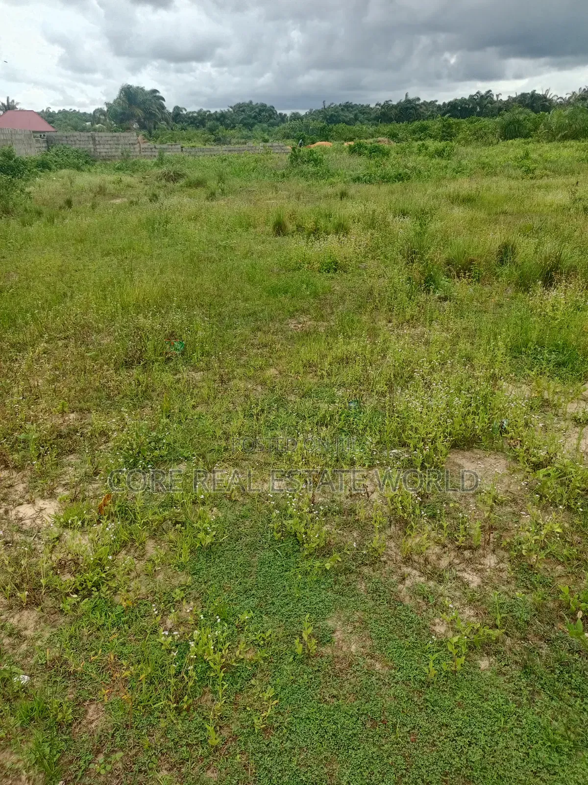 With Instant Allocation, Umuagwo Along Ph Owerri Rd, Imo State in Owerri
