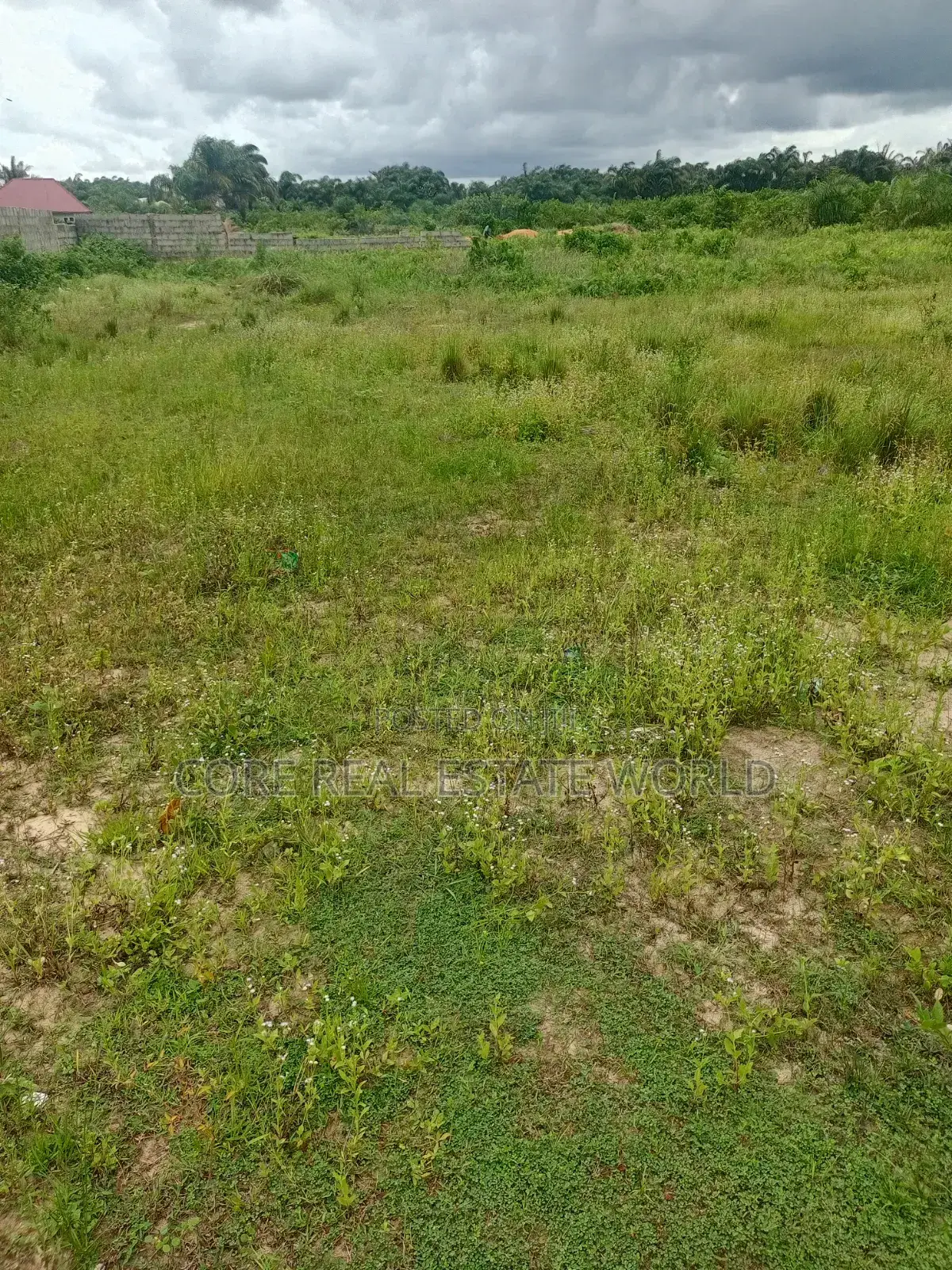 With Instant Allocation, Umuagwo Along Ph Owerri Rd, Imo State in Owerri