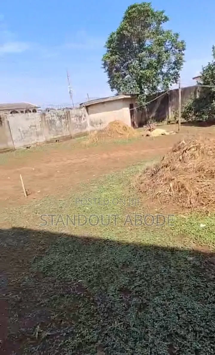 Buy More Than Half 433sqm of Land for Sale in Ipaja in Iyana Ipaja