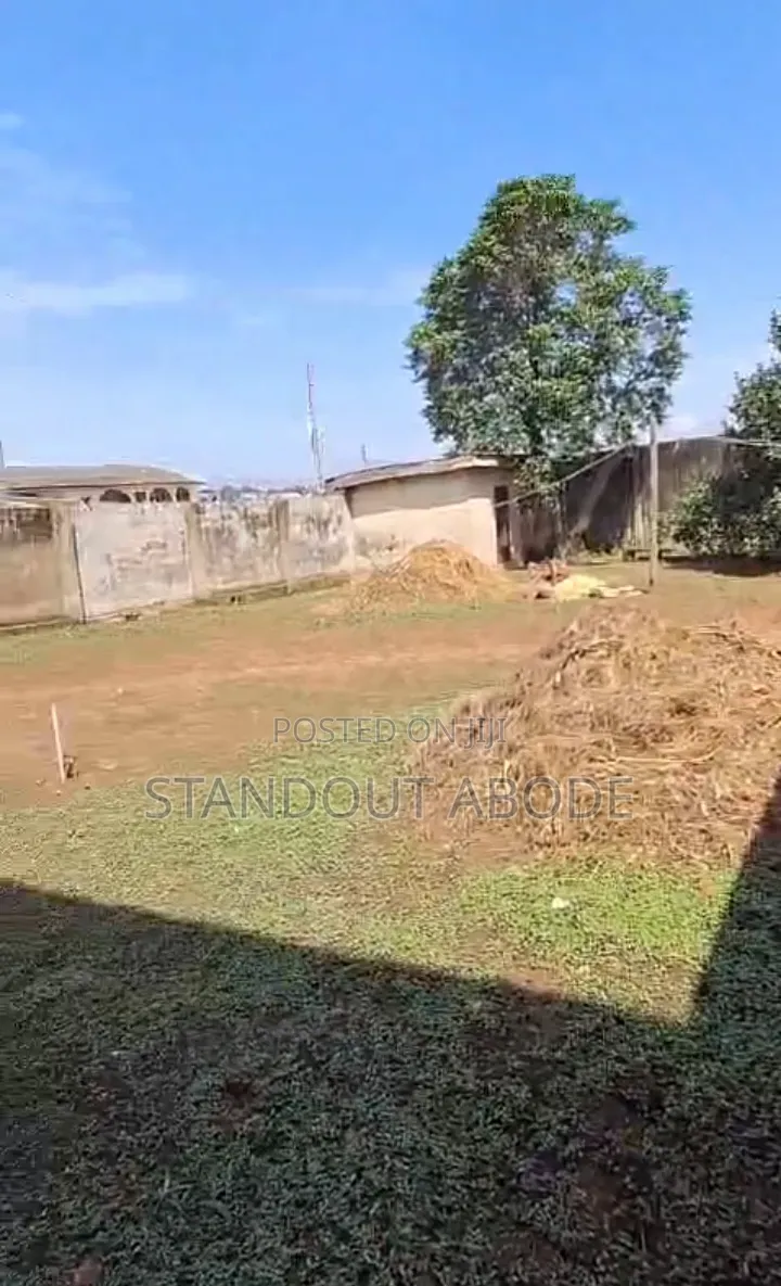 Buy More Than Half 433sqm of Land for Sale in Ipaja in Iyana Ipaja