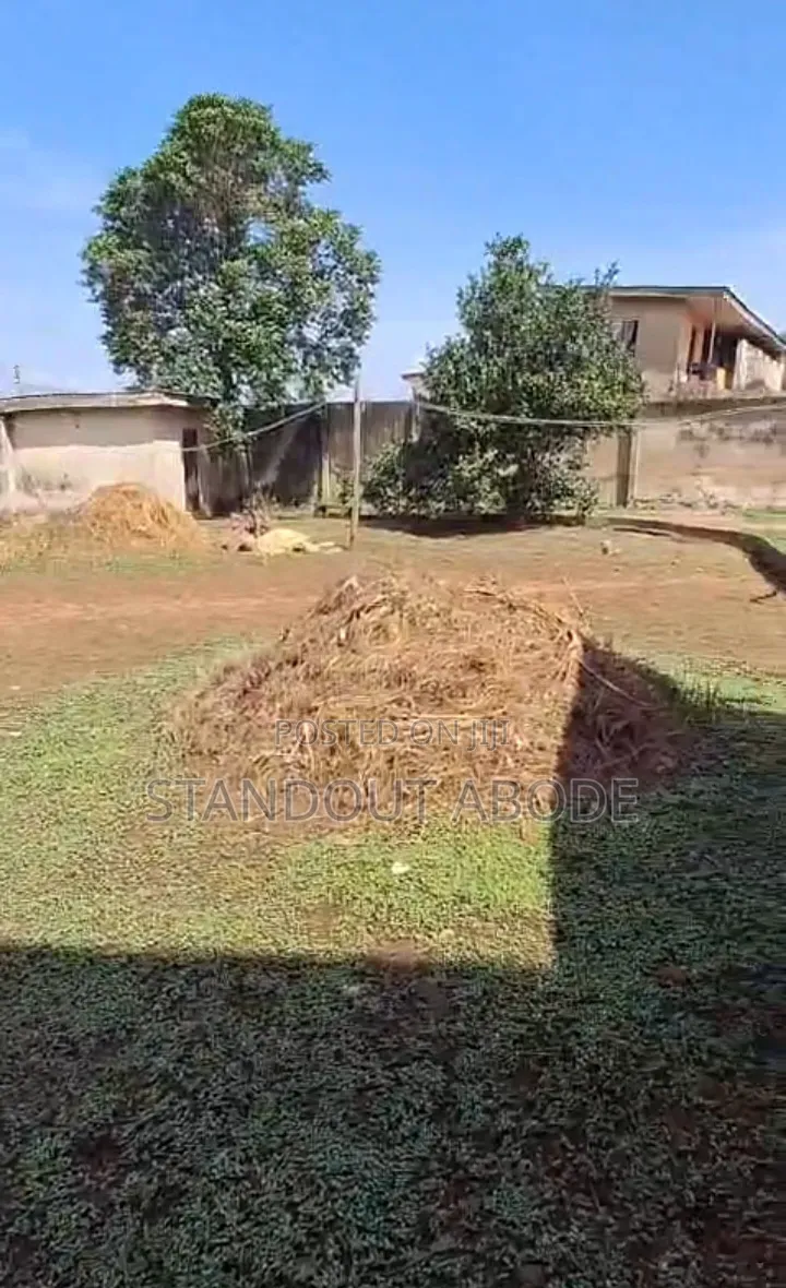 Buy More Than Half 433sqm of Land for Sale in Ipaja in Iyana Ipaja