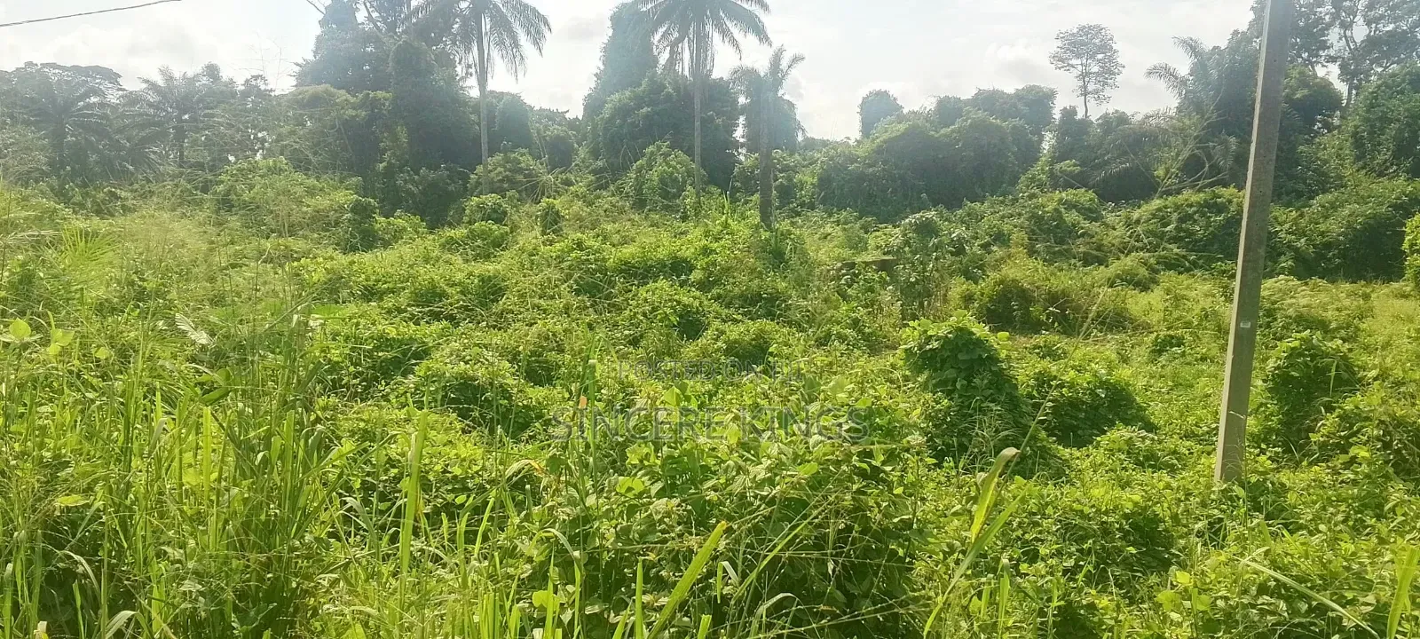 5000 SQM of Land for Sale in Uyo