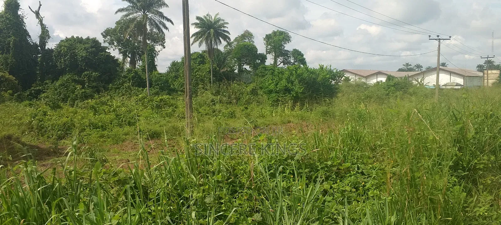 5000 SQM of Land for Sale in Uyo