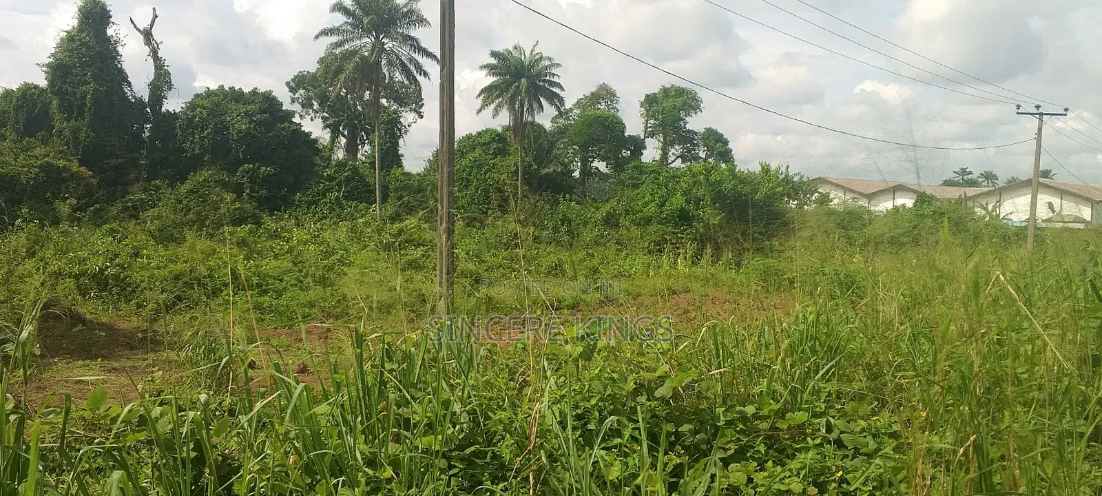 5000 SQM of Land for Sale in Uyo