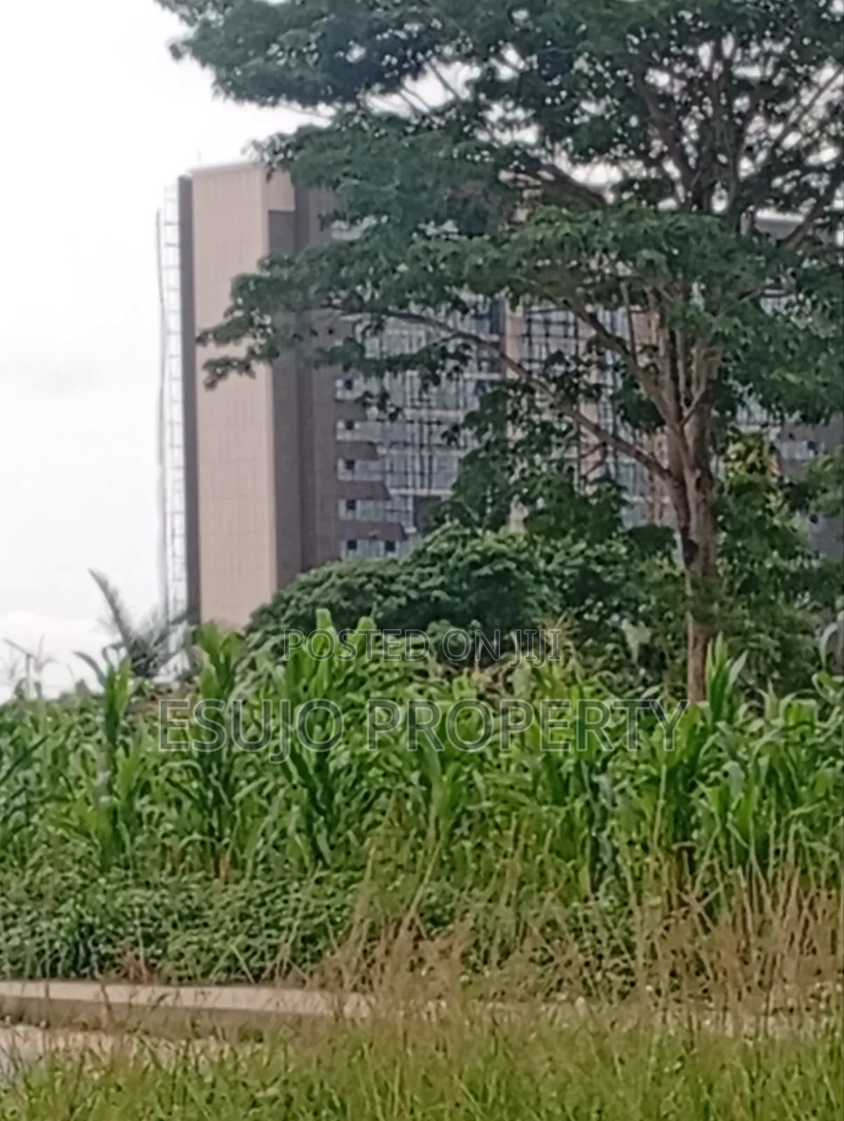 Distress Land in Uyo