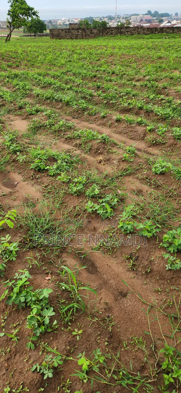 Prime Residential Land for Sale in Lifecamp in Life Camp