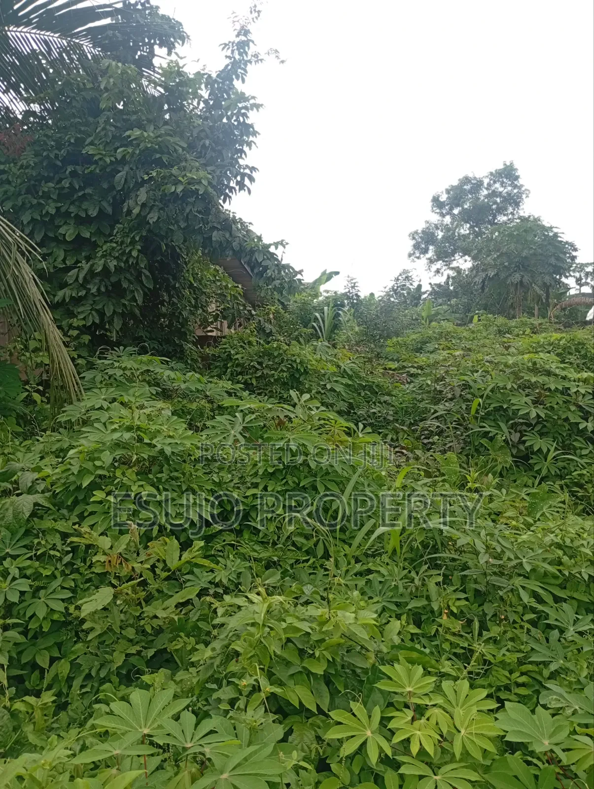 Distress Land in Uyo
