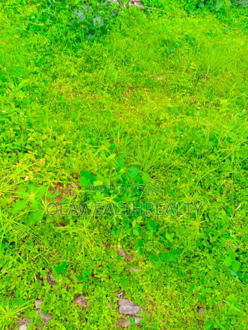 50 Hectares Residential Land at Wasa in Wasa