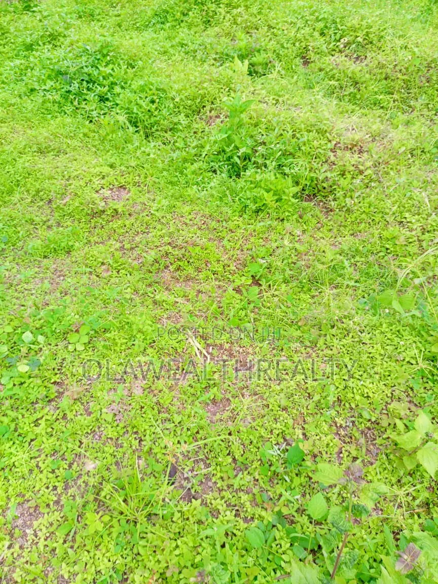 50 Hectares Residential Land at Wasa in Wasa