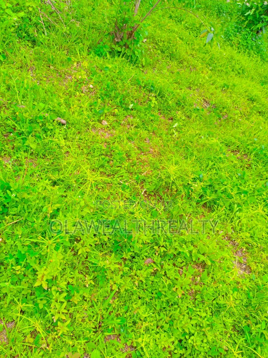 4000sqm Commercial Plot At Central Business District, Abuja in Central Business District